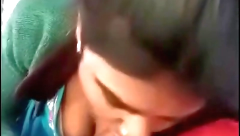 Indian truck driver sex video in amateur sex scene