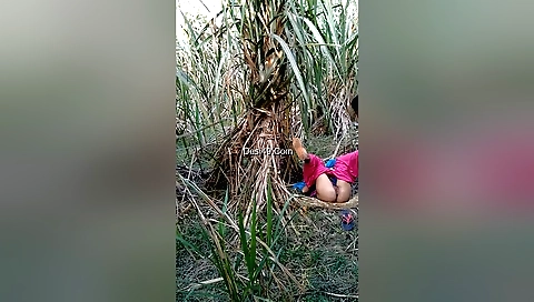 Brunette brunette with small tits and round ass outdoors